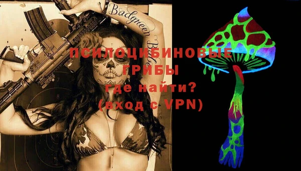 дмт Абаза