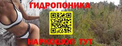 соль ск Моздок