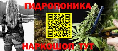 соль ск Моздок