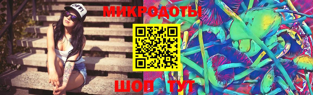 Грозный  сколько стоит  Псилоцибиновые грибы Psilocybine cubensis  Вход с VPN  Псилоцибиновые грибы мицелий 